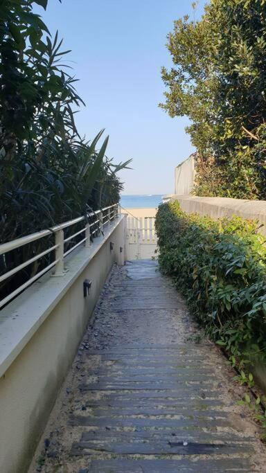 Arcareve - Grand Studio De Standing Avec Terrasse, Jardin Et Acces Direct A La Plage 阿卡雄 外观 照片